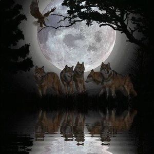 Meet your Posher, Joshua